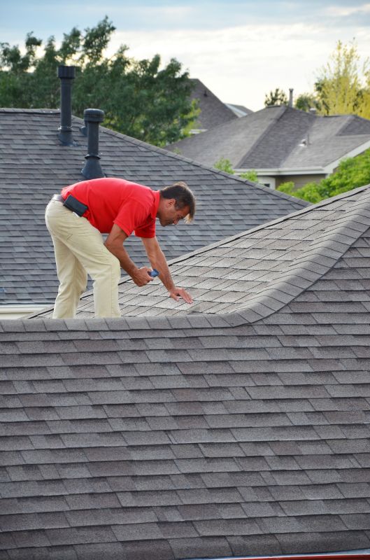 Gutter and Roof Inspection
